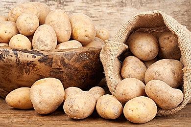 类魂卡牌构筑游戏《死亡呼啸》Steam页面 支持简体中文